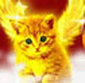 Benutzeravatar
