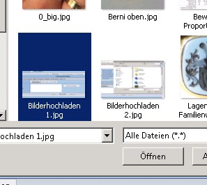 Bilderhochladen 3.jpg